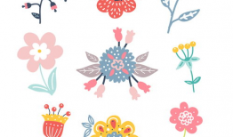 动漫花,动漫中的浪漫与成长